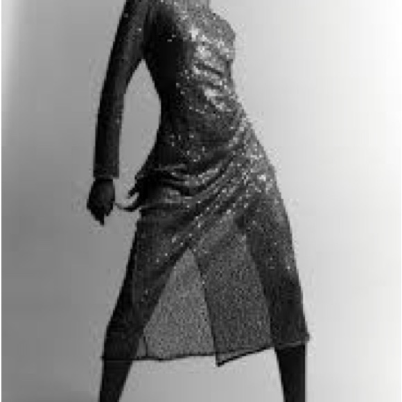 Sequined Net Dress - Picture 2 of 8